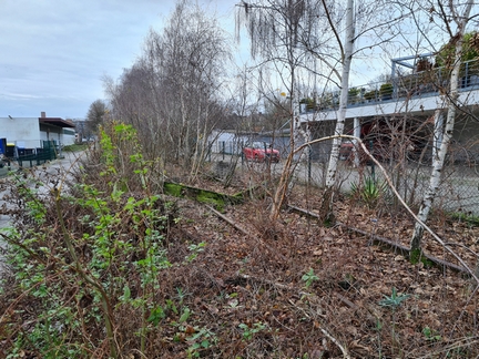 Die Reaktivierung der Bahnstrecke - BOH - COE - Motor für die Entwicklung attraktiver Standorte im westlichen Münsterland
