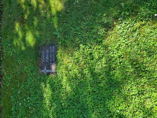 Grabstelle Ernst Eßing SO6 Grab 157 auf dem Bocholter Friedhof