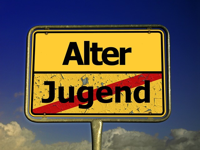 Demografischer Wandel im ländlichen Raum - Herausforderungen an die "Mobilität für Alle". Quelle: www.pixabay.com/gerald