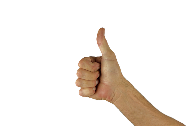 Daumen hoch - das 49-Euro-Ticket kommt - wenn auch mit Verspätung. Quelle www.pixabay.com / Bruno Germany