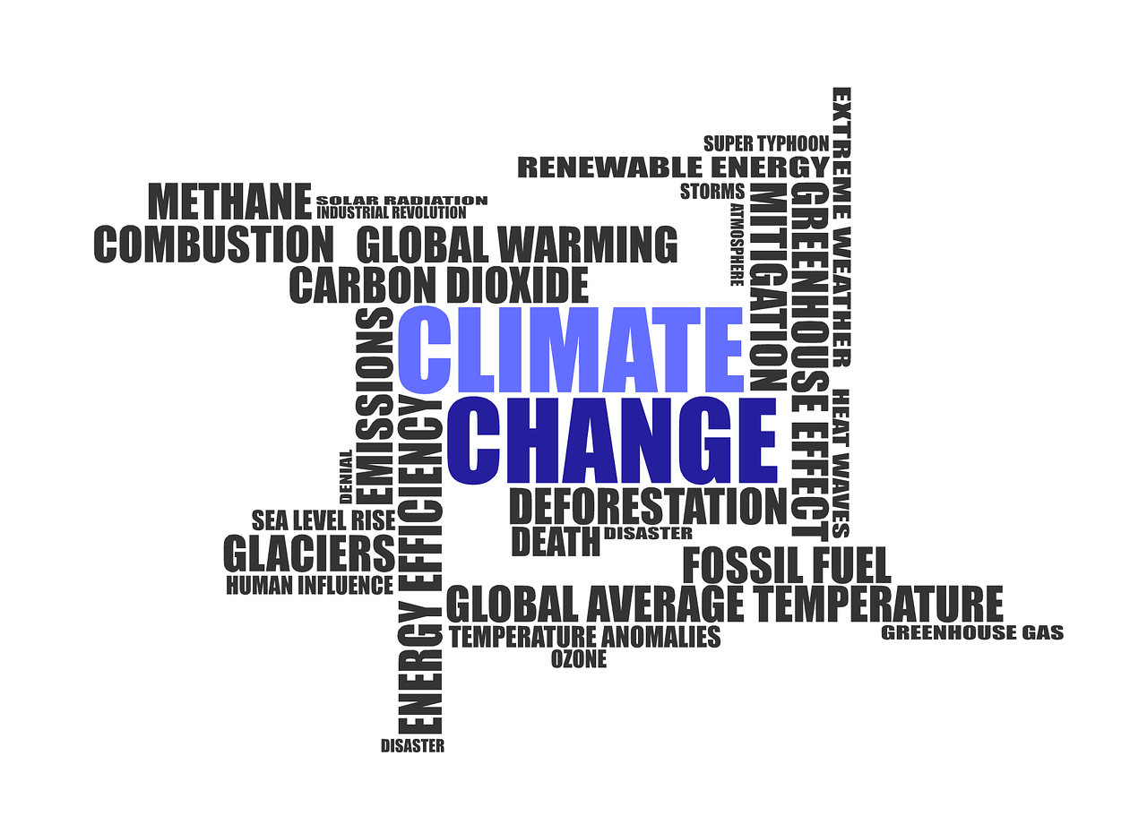 Klimaschutz jetzt! - Mit einem gut ausgebauten Schienenpersoneneverkehr - auch im Westmünsterland!