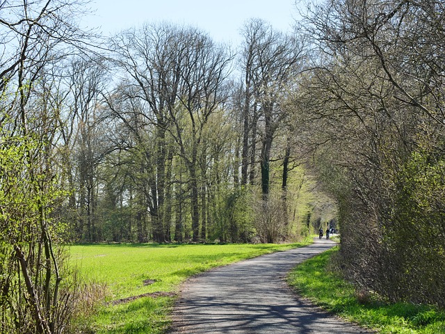 Die ehemalige Bahntrasse BOH - Rhede: Der Entwurf des Regionalplans Münsterland spricht sich für den Auf- und Ausbau des Schienenverkehrs - besonders in ländichen Regionen - aus. / Quelle: pixabay.com