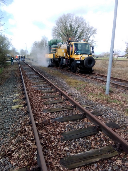 Unkrautbek&auml;mpfung mit Hei&szlig;wasser am ISG Mussum im M&auml;rz 2023. Quelle:  VEFS, Antonius Mayland
