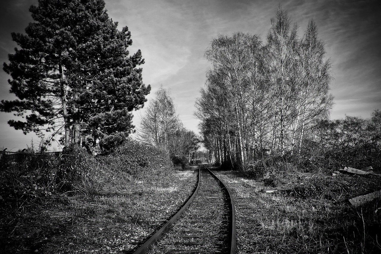 Stillgelegte Bahntrassen - Wichtige Infrastruktur für den Klimaschutz und die nachhaltige Verlagerung des PKW-Verkehrs auf die Schiene - Für die Beibehaltung der Neuregelung des §23 AEG !! Quelle: www.pixabay.com 