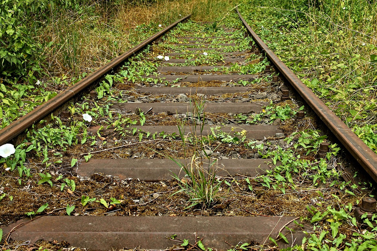 Stillgelegte Bahntrassen - Wichtige Infrastruktur für den Klimaschutz und die nachhaltige Verlagerung des PKW-Verkehrs auf die Schiene - Für die Beibehaltung der Neuregelung des §23 AEG !! Quelle: www.pixabay.com / Manfred Richter